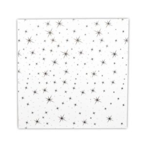 BY-60x60 PVC Asma Tavan Paneli – Yıldız Desen ( 1 M2 )