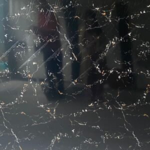 BY-05-Siyah (Beyaz Desenli) Duvar Paneli