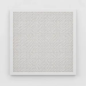 Ürün görünümü: Plastik 30×30 Clip-in Asma Tavan Paneli - Beyaz