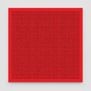 Ürün görünümü: Plastik 30×30 Clip-in Asma Tavan Paneli - Kırmızı