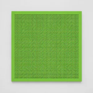 Ürün görünümü: Plastik 30×30 Clip-in Asma Tavan Paneli - Yeşil